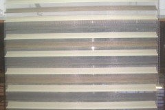 CIMG0021